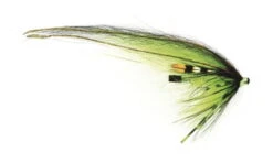 Frødin Klassisk The Witch