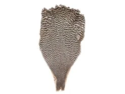 Keough Saltwater Neck Grizzly