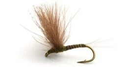 CDC Biot Comp. Dun Olive