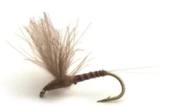 CDC Biot Comparadun Quill Gordon