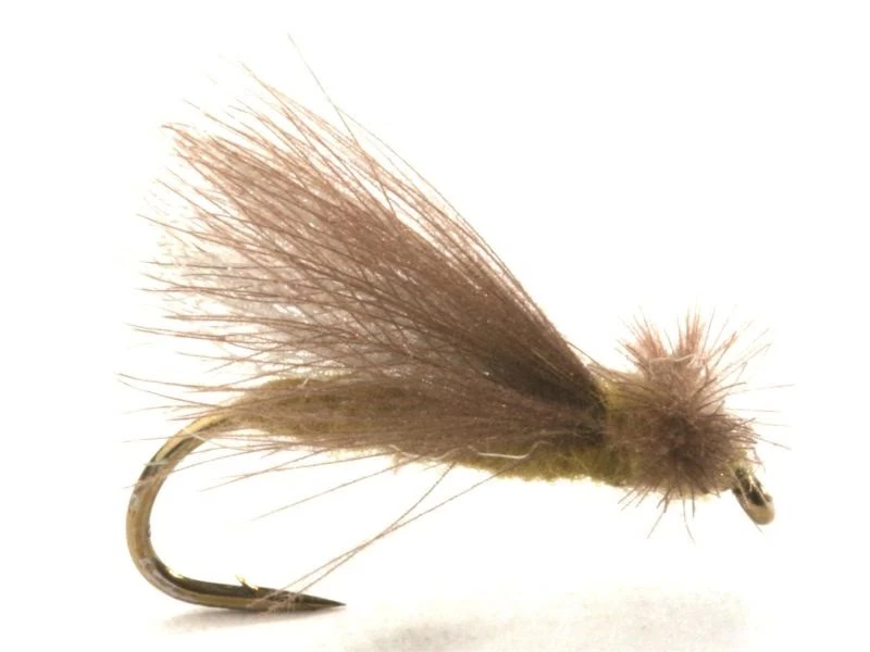 CDC Caddis Adult Olive 1 CDC Caddis Adult Olive
