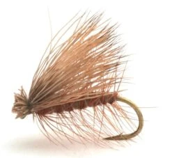 CDC Elk Caddis Brown