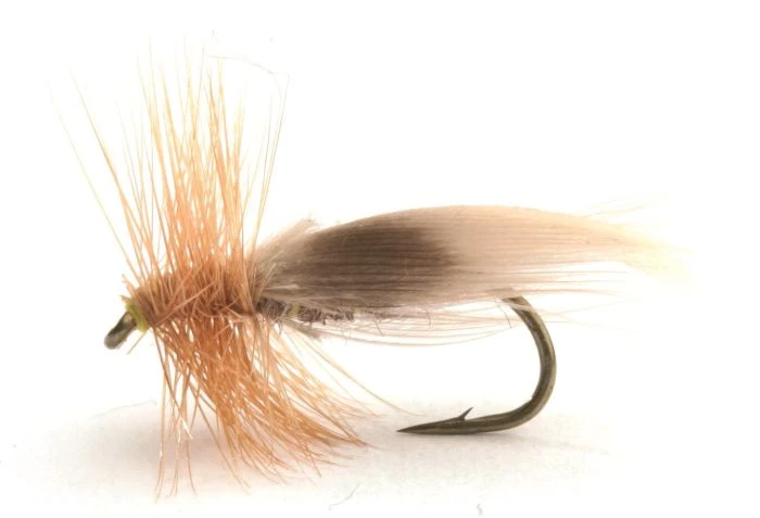 E-12 Europea 1 E-12 Europea