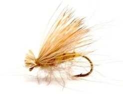 CDC Elk Caddis Yellow
