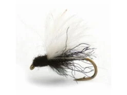 CDC Midge Adult