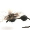 Parachute Ant