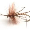 Daddy Long Legs Krok10