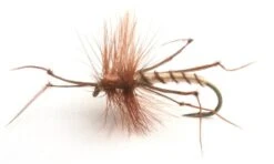 Daddy Long Legs Krok10