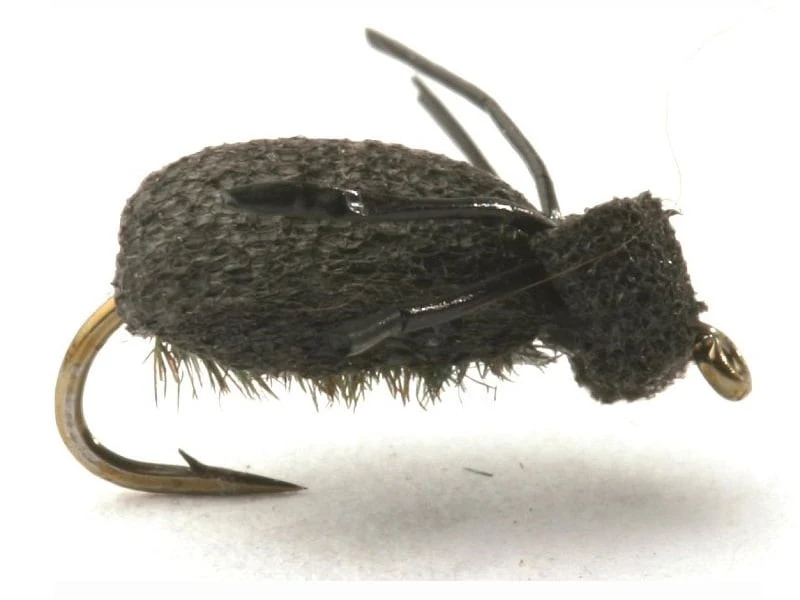 Foam Beetle Lawson Krok 16 1 Foam Beetle Lawson Krok 16