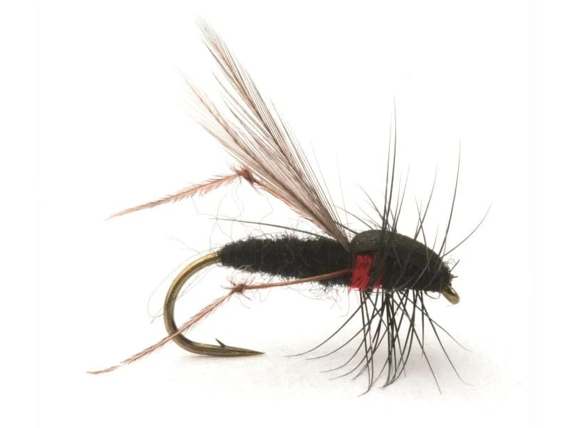 Russer Flua Krok 12 1 Russer Flua Krok 12