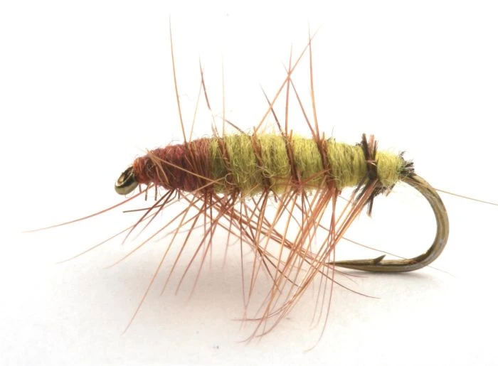 Superpuppan Olive 1 Superpuppan Olive