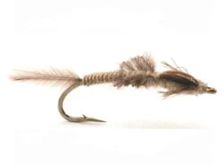 Vulgata Nymfe Krok 8