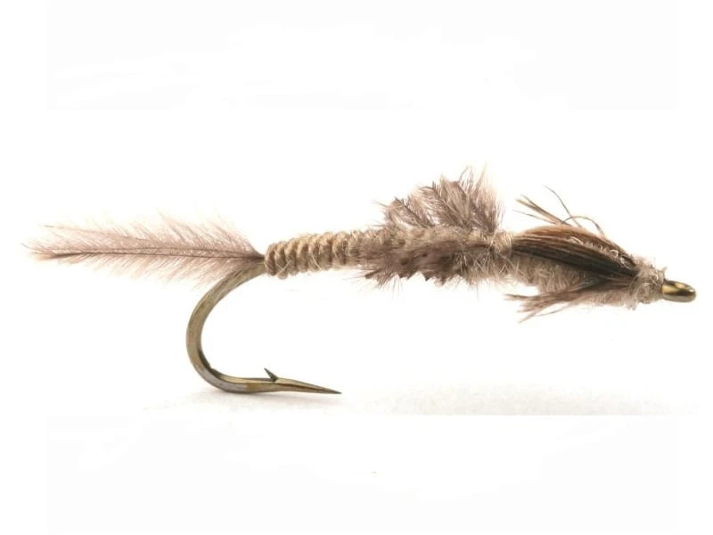 Vulgata Nymfe Krok 8 1 Vulgata Nymfe Krok 8