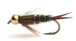 Prince Nymph Gold Bead