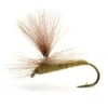 Baetis Medium Olive