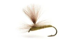Baetis Medium Olive
