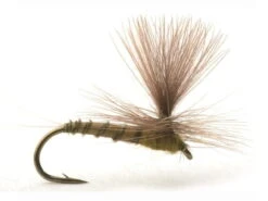 Biot Dun Medium Olive