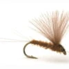 Runes CDC Nohackle Olive