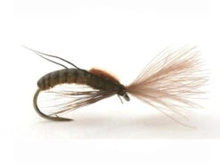Super Emerging Caddis Brown Olive