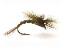 Baetis Klekker Dark Olive