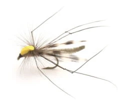 Parachute Long Legs Krok10