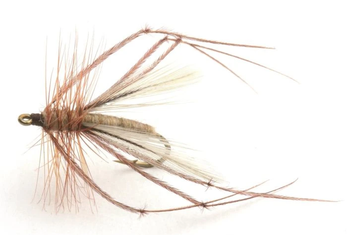 Classic Longlegs Krok.12 1 Classic Longlegs Krok.12