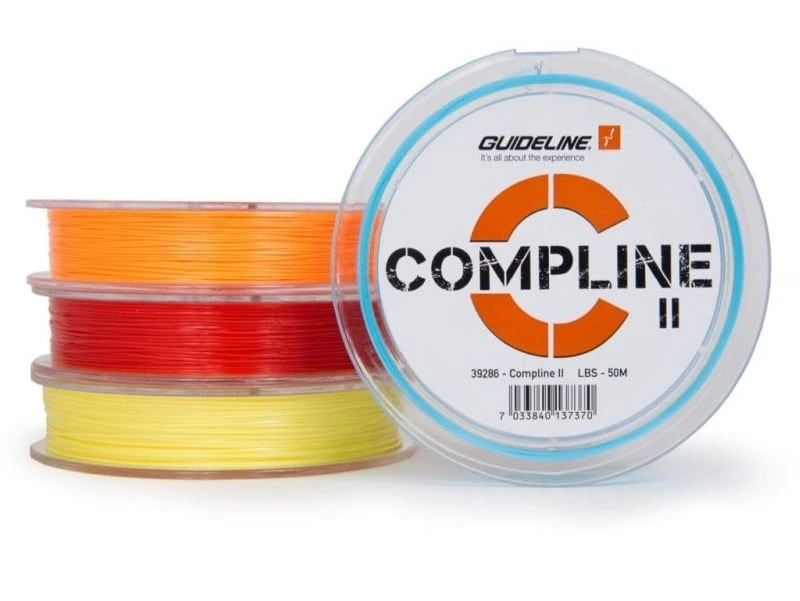 Guideline Compline II 1 Guideline Compline II