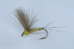 Cdc Biot Comparadun BWO