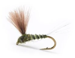 Cdc Biot Comparadun Grey Olive