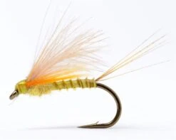 Cdc Biot Dun Emerger PMD