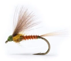 Cdc Biot Dun Emerger BWO