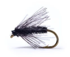 Cdc Midge Black
