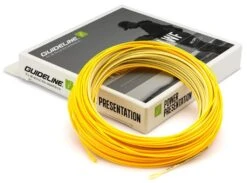 Guideline Power Presentation WF Flyt