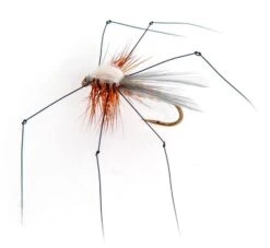 Faux Mini Daddy Krok 12