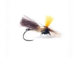 Indi Caddis Krok 12