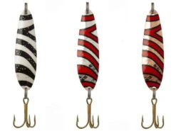 Sølvkroken Salamander Trout Zebra