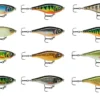 Rapala X-Rap Twitchin Shad 8 Cm