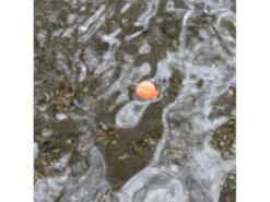 Loon Biostrike Pink Yellow -Fiske Lavprisbutikk 12823 loonC