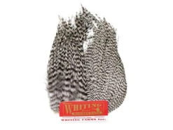 Whiting Bugger Pack Grizzly