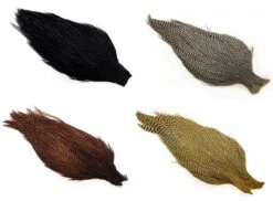 Ewing Hanenakker Grad 1