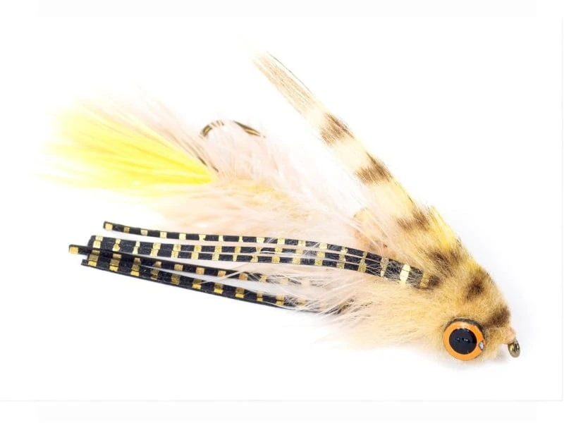 Baby Conga Tan/Yellow Krok 8 1 Baby Conga Tan/Yellow Krok 8