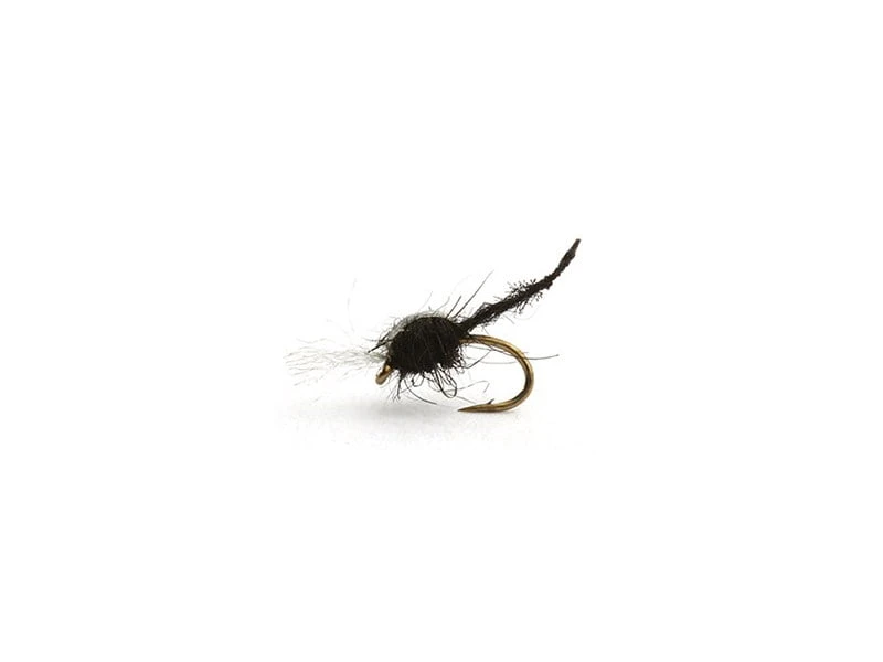 Palomino Midge Black 1 Palomino Midge Black