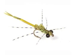 Ultra Damsel Variant Str 12