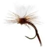 Aurivilli Emerger Quill Brown