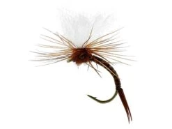Aurivilli Emerger Quill Brown