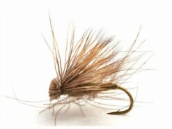 Cdc Elk Caddis Olive