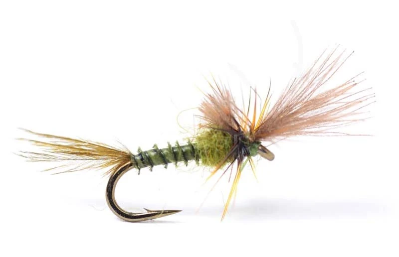 Quigley Cripple Baetis 1 Quigley Cripple Baetis