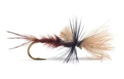 Quigley Cripple Lepto