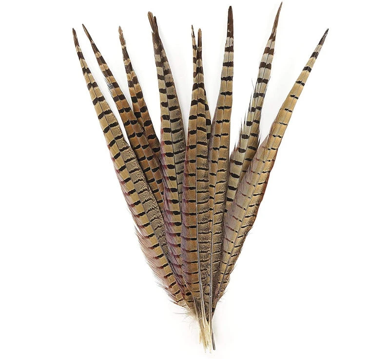 Fasanhale 1 Fasanhale