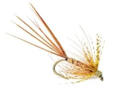 Vulgata Gosling Krok 8